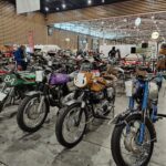 Basile (103)