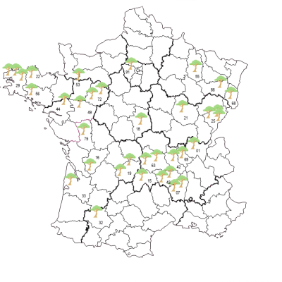 carte france arbre – 20257